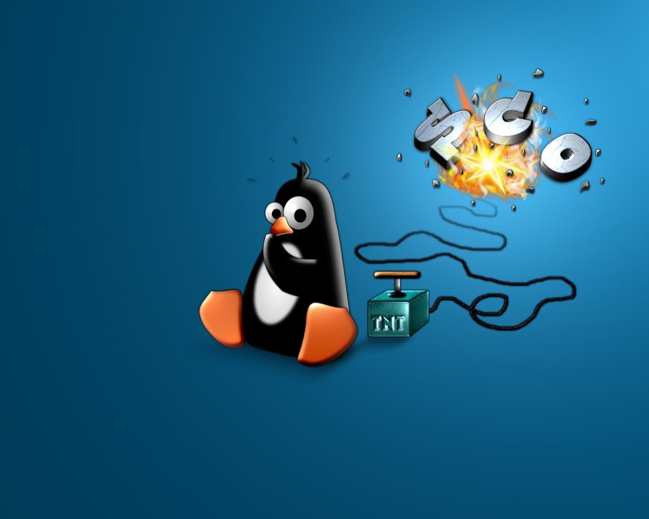시스템 관리를 위한 가장 중요한 Linux 명령줄 명령은 무엇입니까?